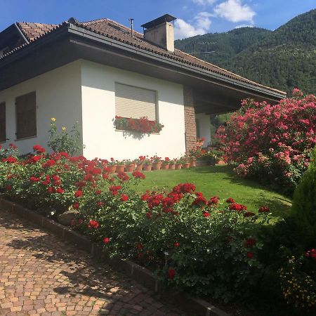 Villa Weingut Zundlhof Bozen Exterior foto